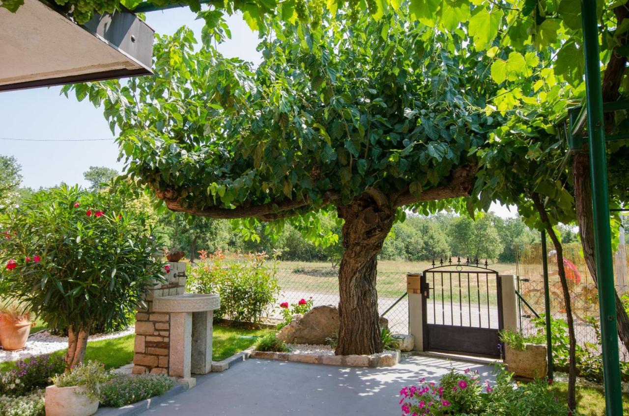 Villa Roza Umag Exteriér fotografie