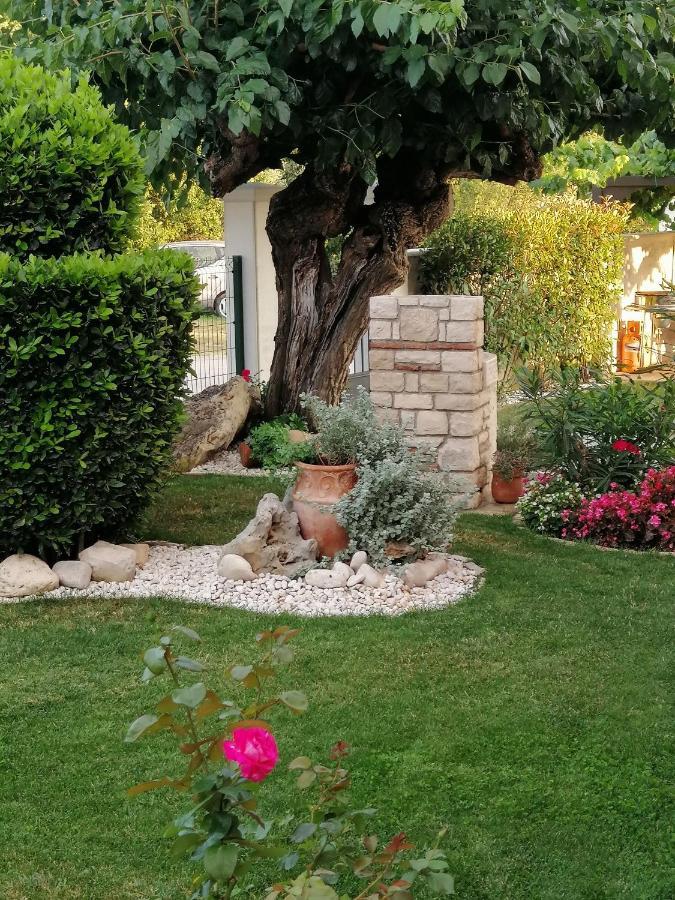Villa Roza Umag Exteriér fotografie