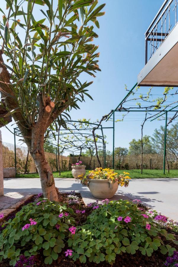 Villa Roza Umag Exteriér fotografie